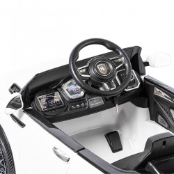 Range Rapid 12V mit Fernbedienung 12 volt