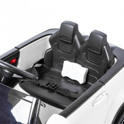 Range Rapid 12V mit Fernbedienung 12 volt