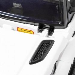 Range Rapid 12V mit Fernbedienung 12 volt