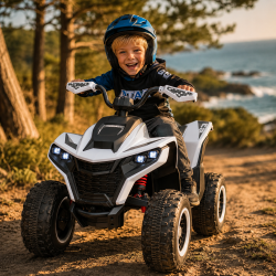 Quad ATAA Vengeance 24v 24 Volt