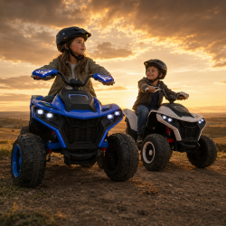 Quad ATAA Vengeance 24v 24 Volt