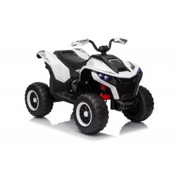 Quad ATAA Vengeance 24v 24 Volt