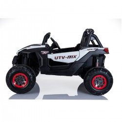 Buggy UTV RSX 24v 24 Volt