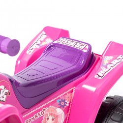 Quad Raspi Motorräder