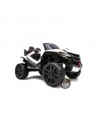 Go-Kart und Buggy-elektrische für kinder mit batterie 12v 24v 36v